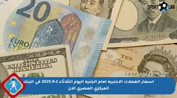 أسعار العملات الأجنبية أمام الجنيه اليوم الثلاثاء 2-9-2025 في البنك المركزي المصري الآن